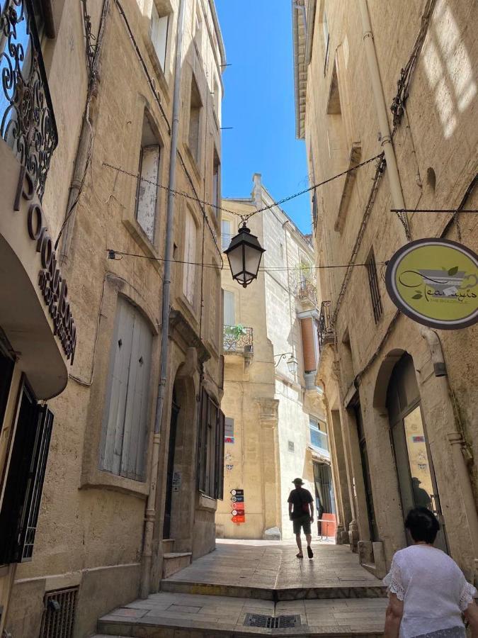 Apartament Hirondelle De Montpellier Zewnętrze zdjęcie